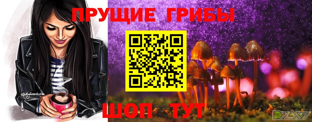 Псилоцибиновые грибы Psilocybe  Вход с VPN  Галлюциногенные грибы мицелий  Лесной 